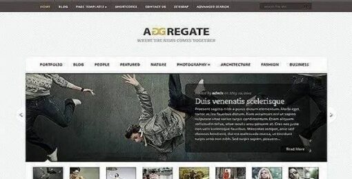 Elegant Themes - Aggregate Premium WordPress Theme 3.6.12