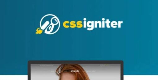 CSSIgniter - Amaryllis WordPress Theme 3.1.2