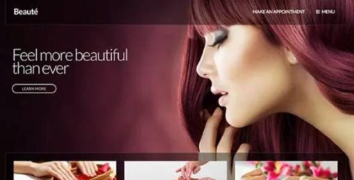 CSSIgniter - Beaute WordPress Theme 2.0.3