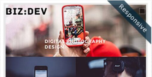 Dessign - BizDev Responsive Premium WordPress Theme 2.0.1