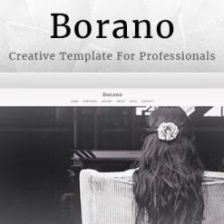 Borano – Photography, Portfolio WordPress Theme v1.46