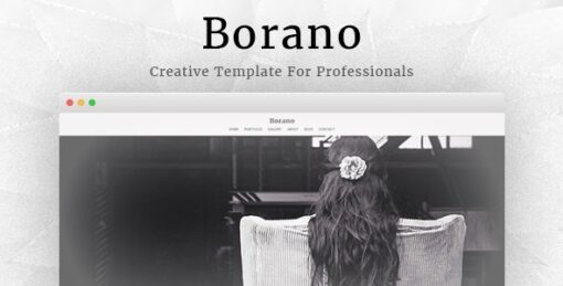 Borano – Photography, Portfolio WordPress Theme v1.46