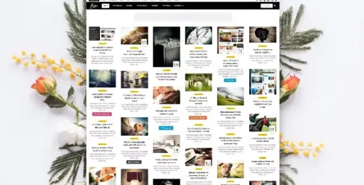 Bou - Personal News Review  Magazine Theme