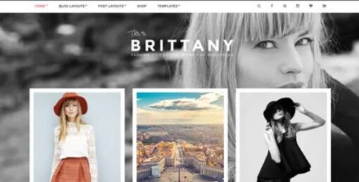 CSSIgniter - Brittany WordPress Theme 2.2.0