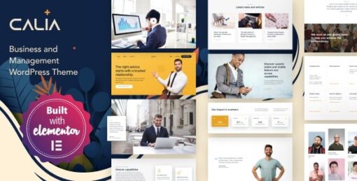 Calia 1.2.19 – Business and Management Theme