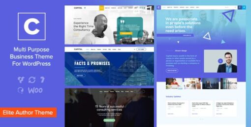 Capital – Multi Purpose Business WordPress Theme v2.5