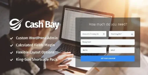 Cash Bay - Loan & Credit Money WP Theme