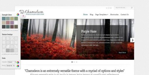 Elegant Themes - Chameleon Premium WordPress Theme 3.9.12