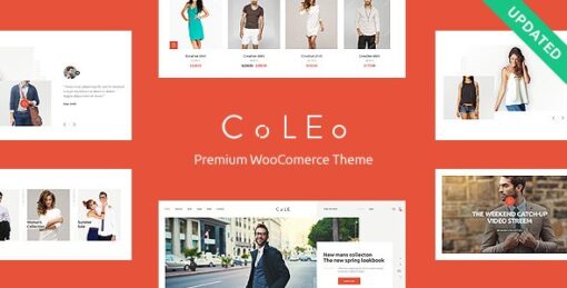 Coleo – A Stylish Fashion Clothing Store WordPress Theme v1.1