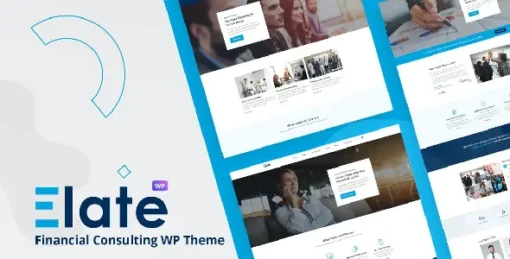 Elate  Financial Consulting WordPress Theme