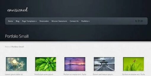 ﻿Elegant Themes - Envisioned Premium WordPress Theme 3.5.13