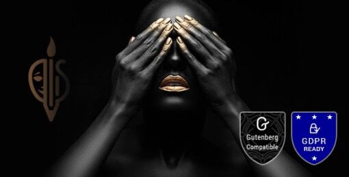 FullScreen – Artist & Photography Theme v1.5