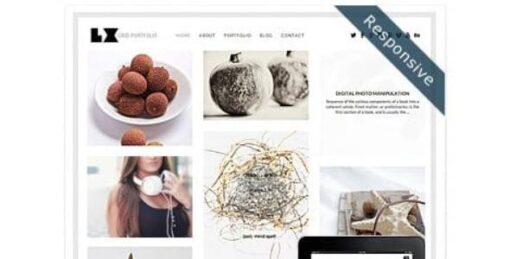 Dessign - Large Grid Responsive Premium WordPress Theme 2.0.1