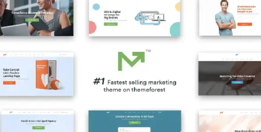 Marketing Pro – SEO, Landing, Marketing WordPress Theme