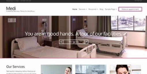 CSSIgniter - Medi WordPress Theme 1.7.1