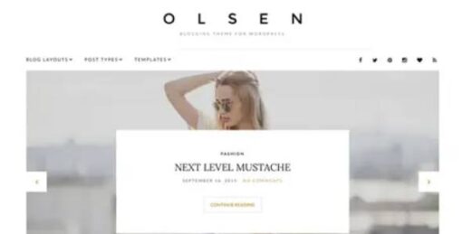 CSSIgniter - Olsen WordPress Theme 2.8.0