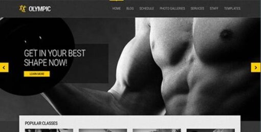 CSSIgniter - Olympic WordPress Theme 1.4.1