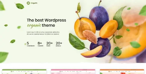 OrgaFit - Organic and Health WordPress Theme