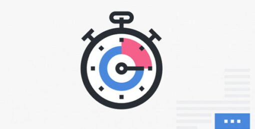 Perfmatters WordPress Plugin GPL