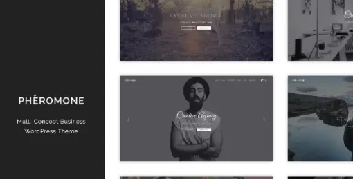 Pheromone - Creative Multi-Concept WordPress Theme