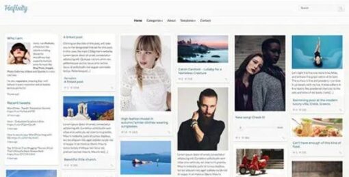CSSIgniter - Pinfinity WordPress Theme 3.1.1