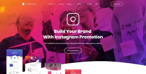 PromoSys Promotion Services WordPress Theme