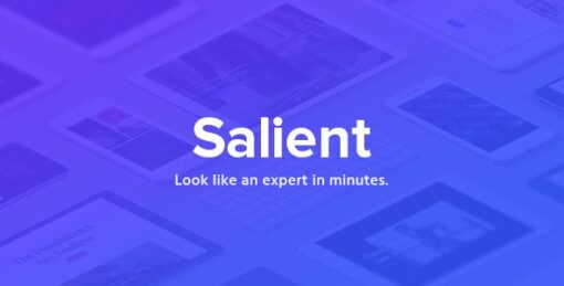 Salient Theme v16.1.3 (Pre-Activated) - Responsive Multi-Purpose Theme