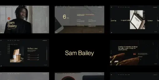 Sam Bailey - Personal CV Resume WordPress Theme