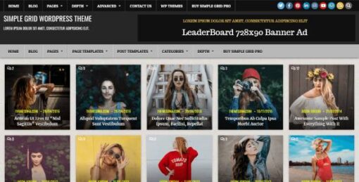 Dessign - Simple Grid Responsive Premium WordPress Theme 3.0