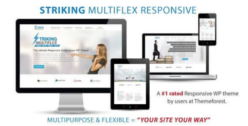 Striking - MultiFlex & Ecommerce Responsive WP Theme 2.1.16