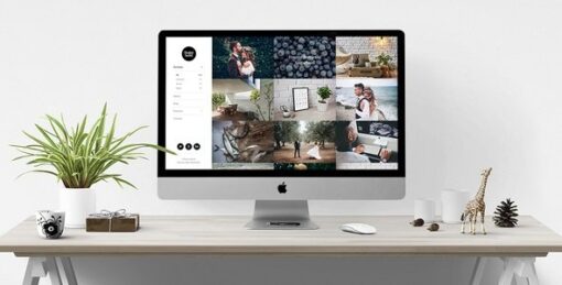 Sugarland – Contemporary Portfolio for Creatives that Stands Out WordPress Theme v1.0.2