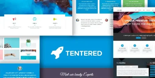 Tentered - Multi Purpose WordPress Theme