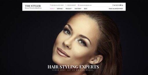 CSSIgniter - The Styler WordPress Theme 1.4.4