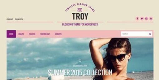 CSSIgniter - Troy WordPress Theme 2.5