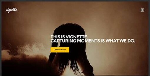CSSIgniter - Vignette WordPress Theme 1.9.1
