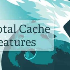 W3 Total Cache Pro GPL v2.2.4